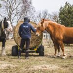 Prikolica_za_silo_in_bale_sena_7